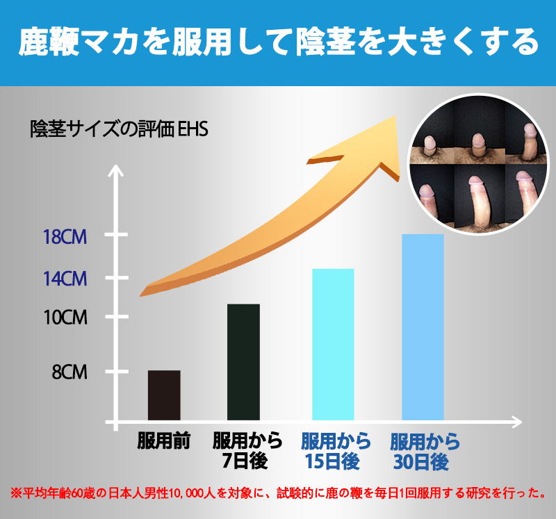 加载